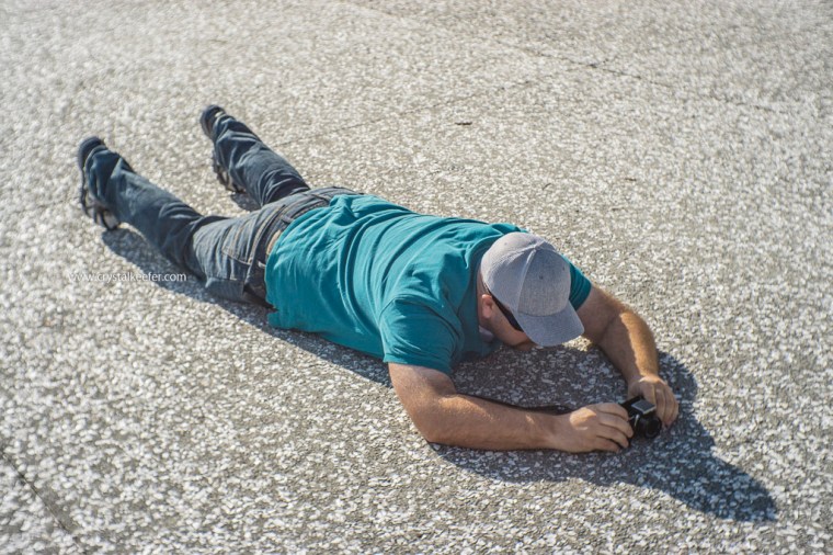 Morning in Mt Pleasant-3