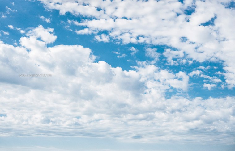 Morning in Mt Pleasant-8