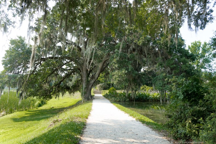 Middleton Place-32