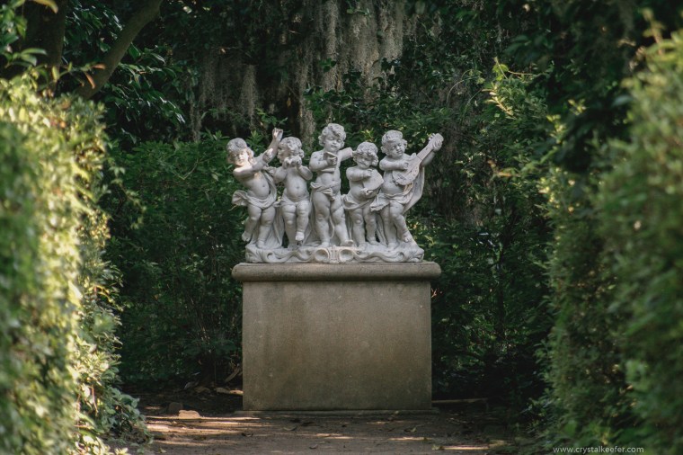 Middleton Place-36