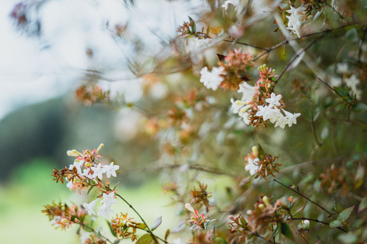 I’m Open, I’m&nbsp;Open